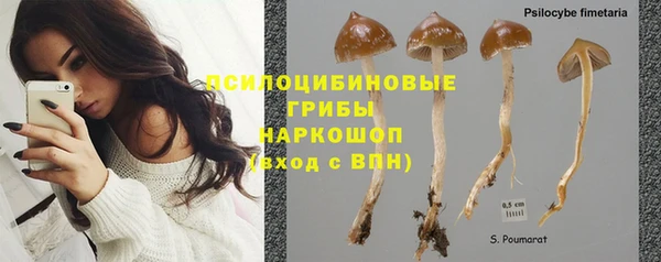 первитин Арсеньев