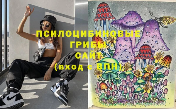 первитин Арсеньев