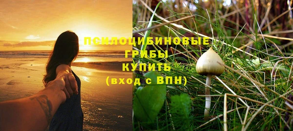ALPHA PVP Армянск