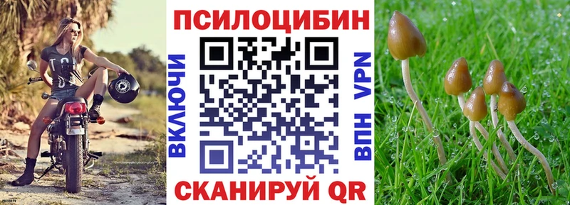 где продают наркотики  Ахтырский  Псилоцибиновые грибы ЛСД 